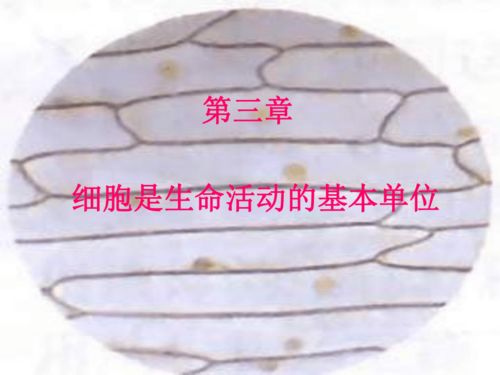 細(xì)胞與未來(lái) 探索生命的基本單位與生物基材料技術(shù)